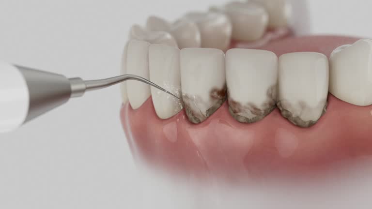 Reliable Dental contractor in Bell Acres, PA by Dentist Open Now